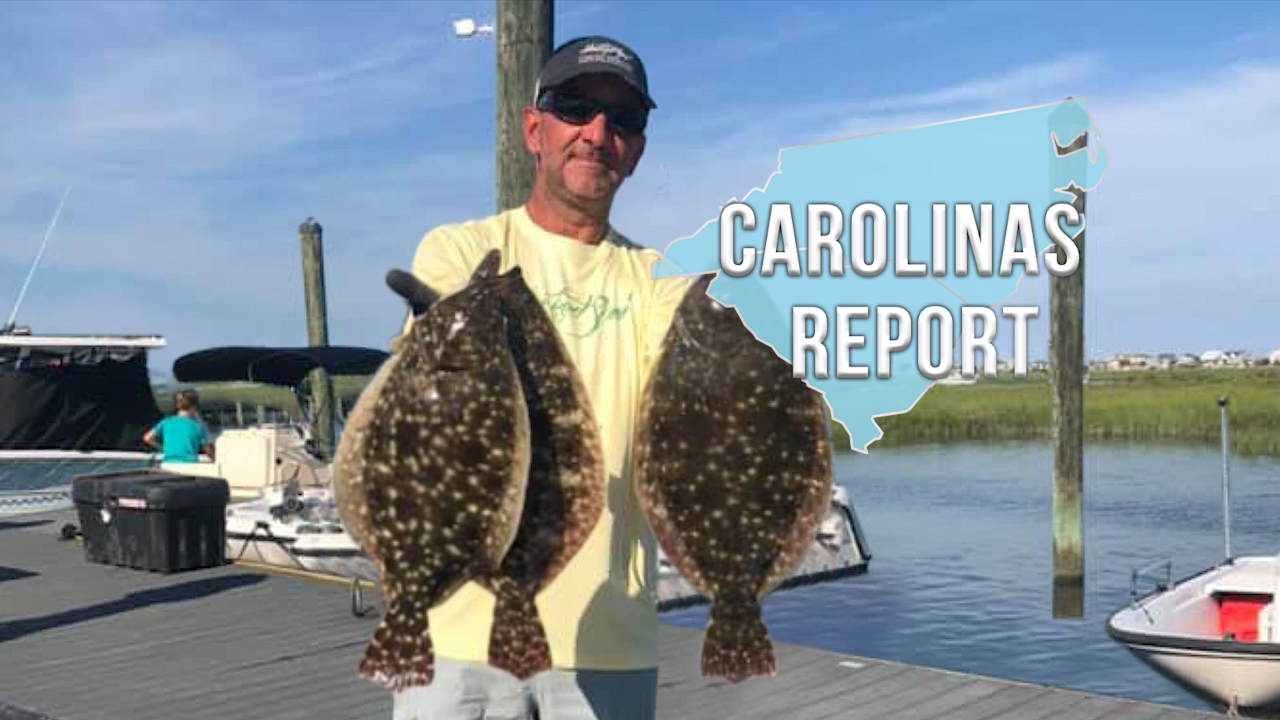 The Carolinas Report